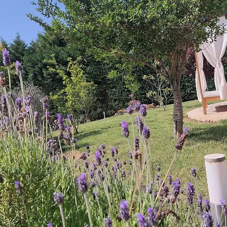 Private Pool Garden Bbq 5' Sea