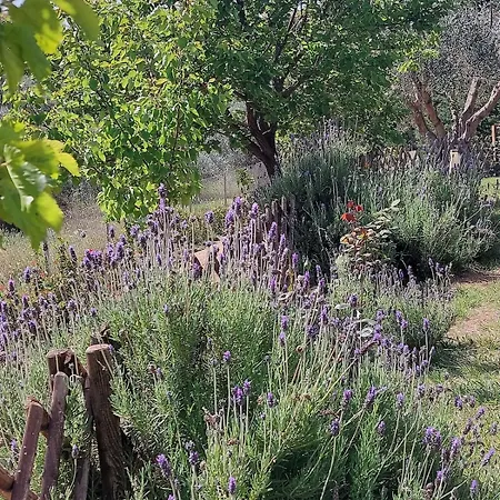 Private Pool Garden Bbq 5' Sea