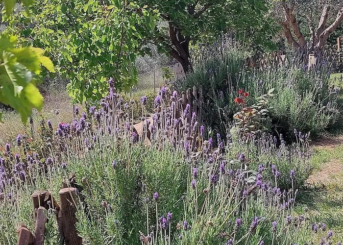 Private Pool Garden Bbq 5' Sea