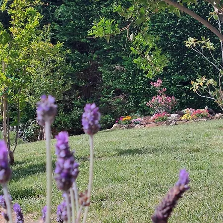 Private Pool Garden Bbq 5' Sea *