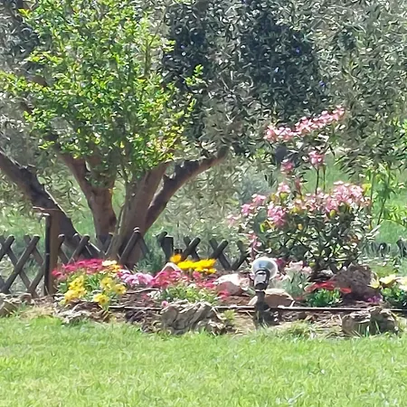 Βίλα Private Pool Garden Bbq 5' Sea *