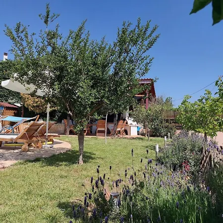 Private Pool Garden Bbq 5' Sea *