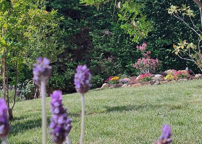 Private Pool Garden Bbq 5' Sea *