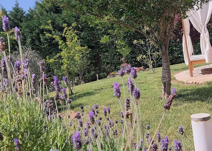 Private Pool Garden Bbq 5' Sea